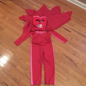 PJ Mask Costume.   Worn once.