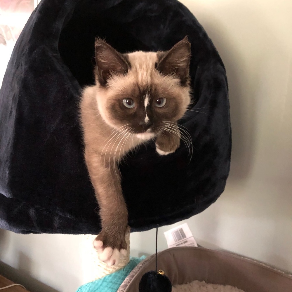 Meet your Posher, Mags