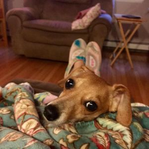 Meet your Posher, Kimmy