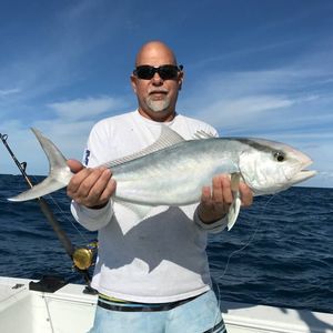 Meet your Posher, Tommy