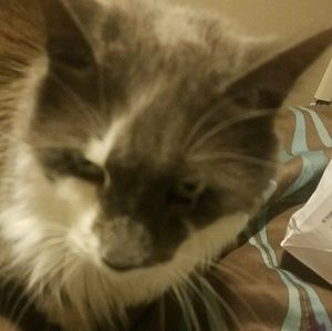 Meet your Posher, Loretta