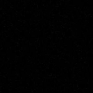 Meet your Posher, Dee