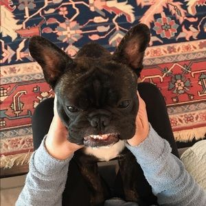 Meet your Posher, Trey