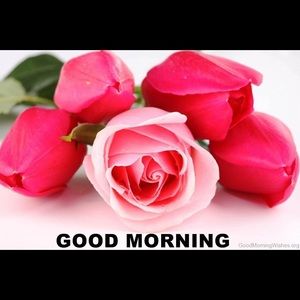 Meet your Posher, Neha