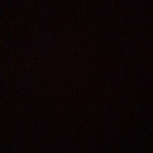 Meet your Posher, Gianna