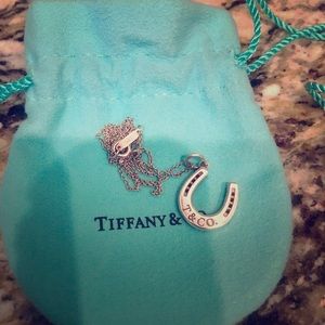 Tiffany and Co. horseshoe necklace