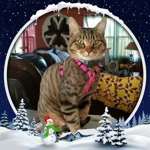 Meet your Posher, Carolyn