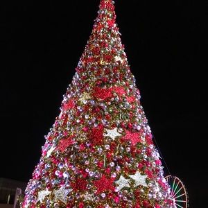 Meet your Posher, Jungeun