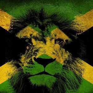 Meet your Posher, Warren