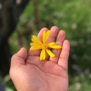 Meet your Posher, Marvin