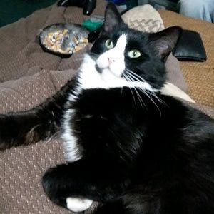 Meet your Posher, Amber