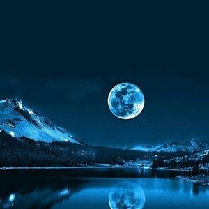 Meet your Posher, Ann marie