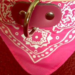 New Bandana Dog Collar Medium