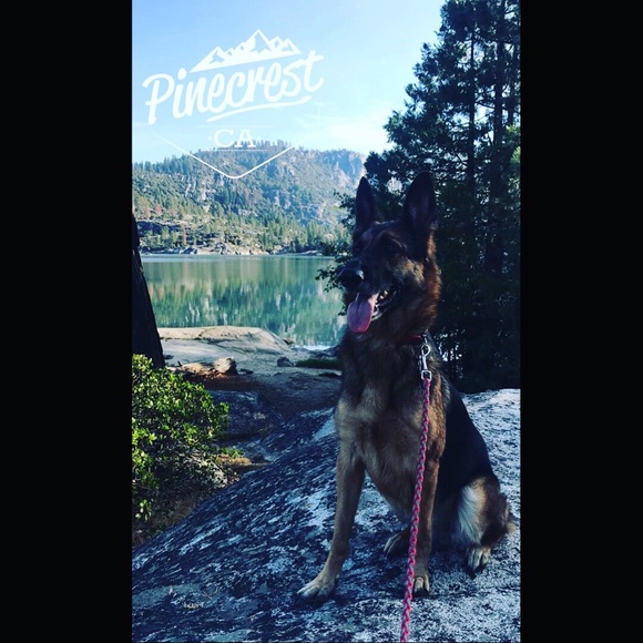 Meet your Posher, Bay - Picture 1 of 1