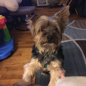 Meet your Posher, Mckenzie