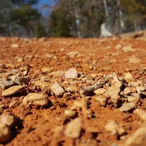 Meet your Posher, German