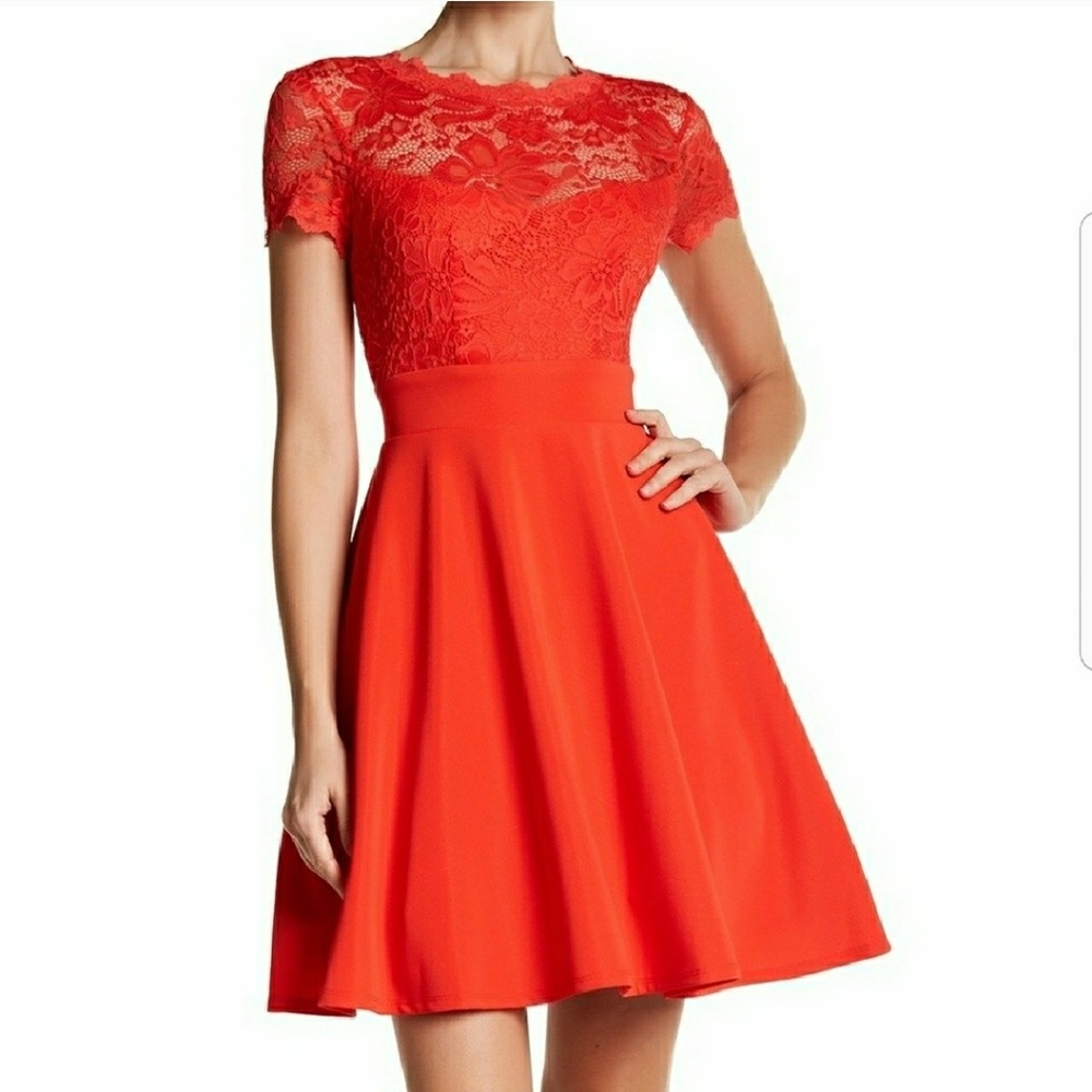 Bebe A-line full skirt open back lace dress