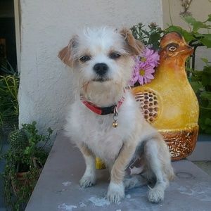 Meet your Posher, Janis