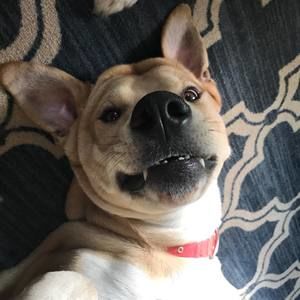 Meet your Posher, Zackory