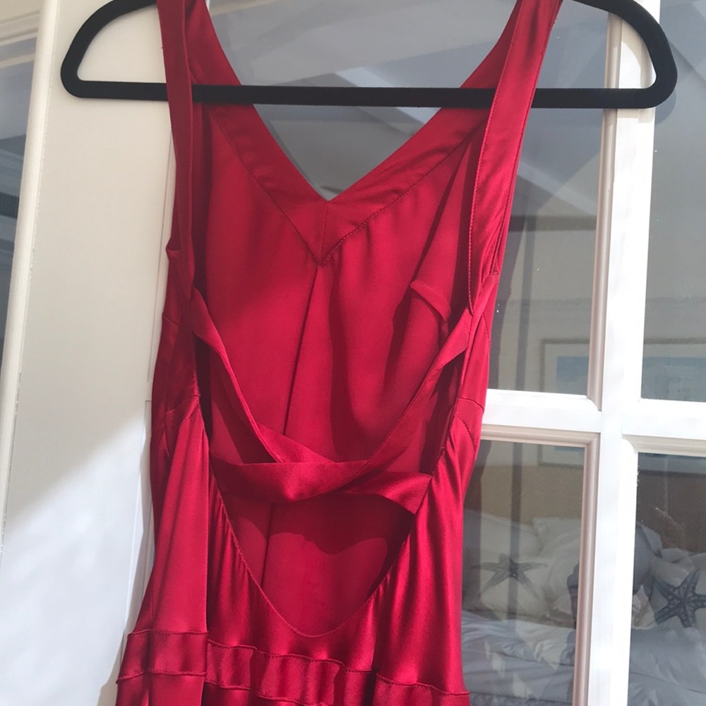 Ruby Red Gown - image 3