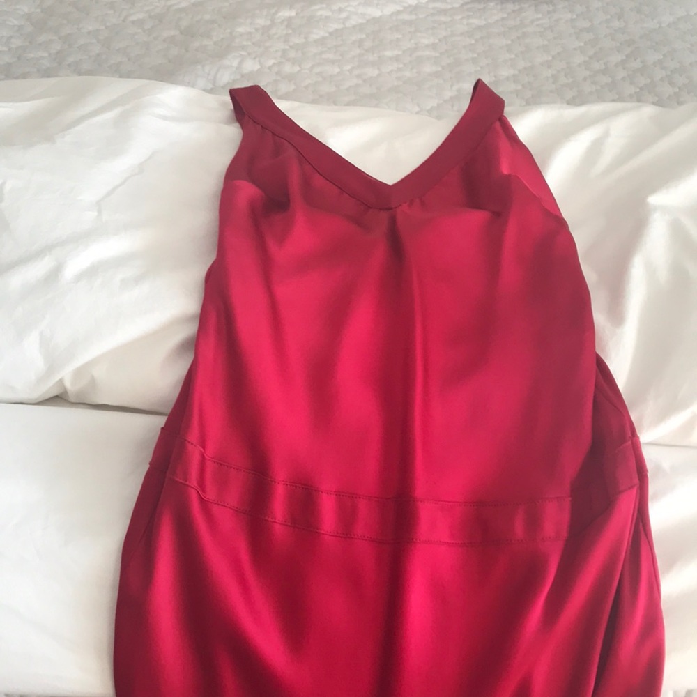 Ruby Red Gown - image 4