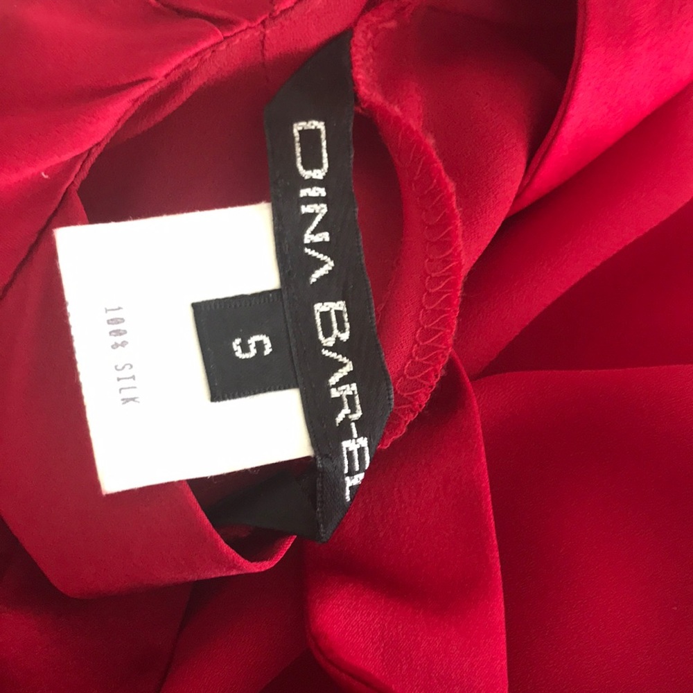 Ruby Red Gown - image 5