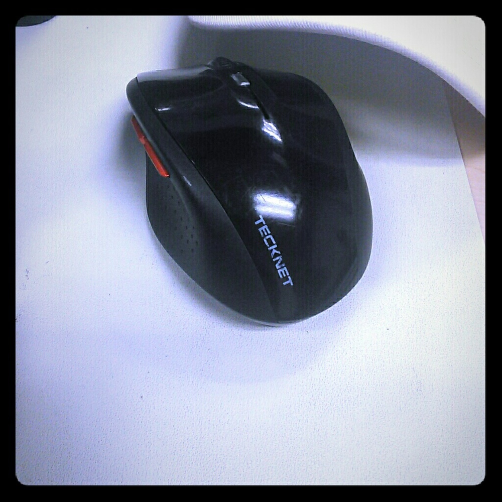 Mouse