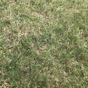 Meet your Posher, Max