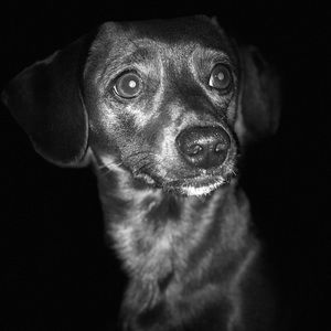 Meet your Posher, Regina