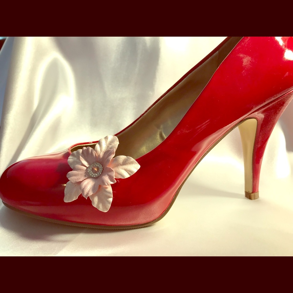 Shoe clips