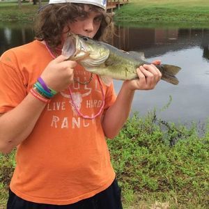 Meet your Posher, Dillon