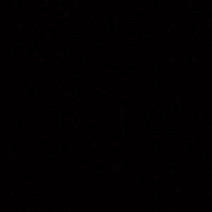 Meet your Posher, Carushka