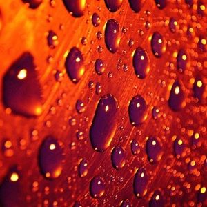 Meet your Posher, Colton