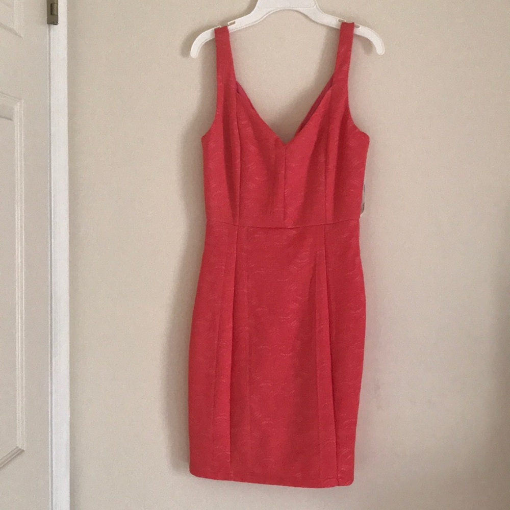 Bodycon lace dress
