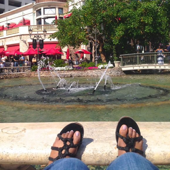 Meet your Posher, Biruh - Picture 1 of 1