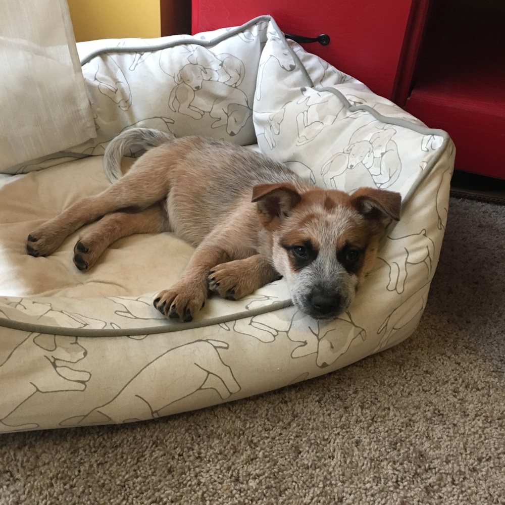 Meet your Posher, Jamie