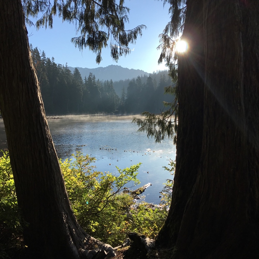 Meet your Posher, Lea