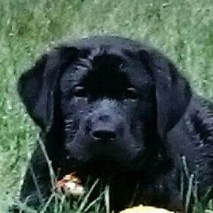 Meet your Posher, Ann