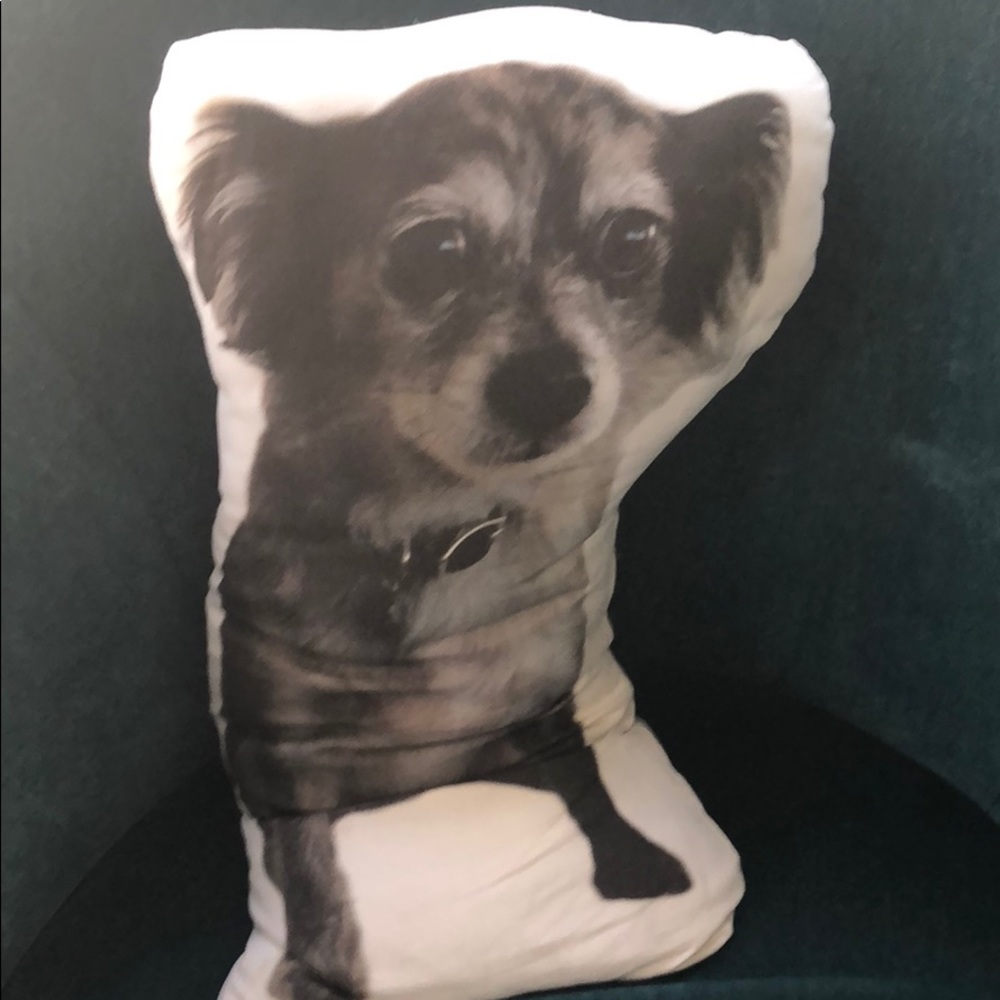 Meet your Posher, Tamar