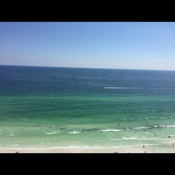 Meet your Posher, Joy - Picture 4 of 4