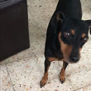 Meet your Posher, Erika