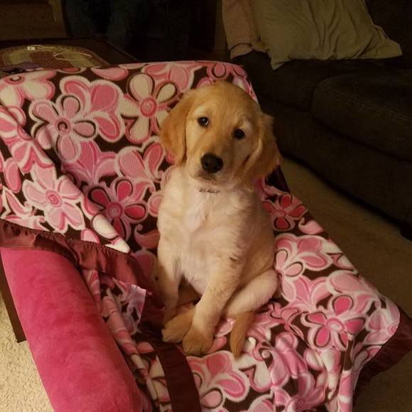 Meet your Posher, Rebecca - Picture 1 of 1