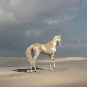 Meet your Posher, Melanie