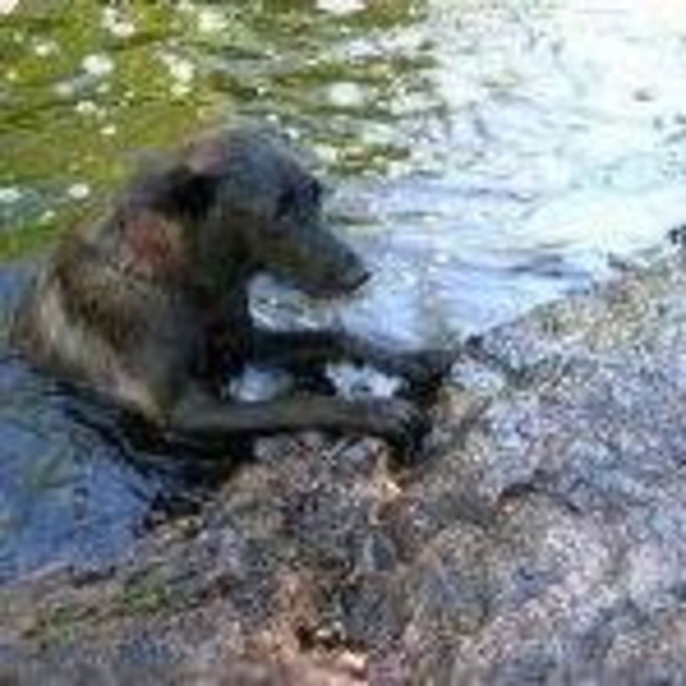 Meet your Posher, Jeanne