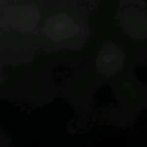 Meet your Posher, Terry