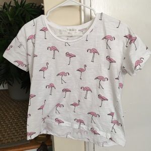Forever 21 Flamingo Crop Top