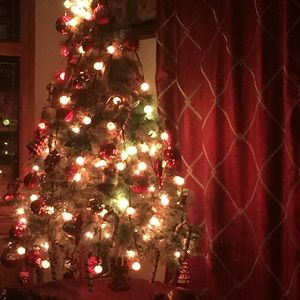 Meet your Posher, Janette