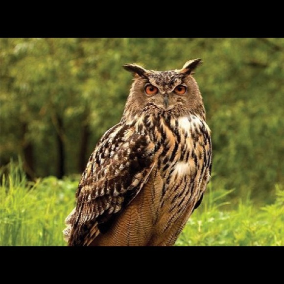 Meet your Posher, Michael - Picture 1 of 1