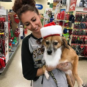 Meet your Posher, Jacque