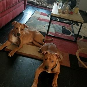 Meet your Posher, Devonte